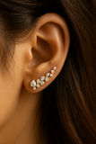 Winter climber earrings