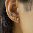 Diamond Climber Earrings