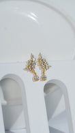 Chic Earring
