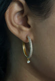 Clean Hoop Earring